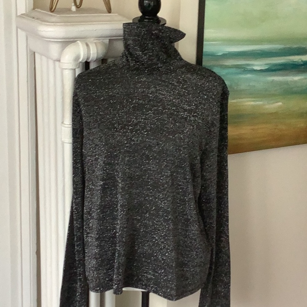 Shimmery Black Turtleneck top with silver